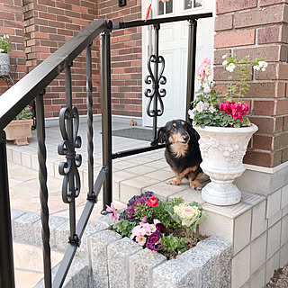 玄関ポーチ 手すりのインテリア実例 Roomclip ルームクリップ