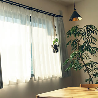カーテンレール ポトスのおしゃれなアレンジ 飾り方のインテリア実例 Roomclip ルームクリップ