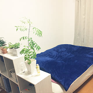 ベッド周り/ナフコ/1K/ひとり暮らし/1人暮らし 1K...などのインテリア実例 - 2017-12-11 20:12:04