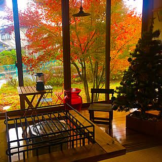 クリスマスツリー 和風住宅のおしゃれなアレンジ 飾り方のインテリア実例 Roomclip ルームクリップ