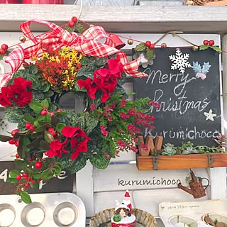 リビング/クリスマス飾り/植物が好き/生花リース/クリスマスリース...などのインテリア実例 - 2016-11-17 14:44:13