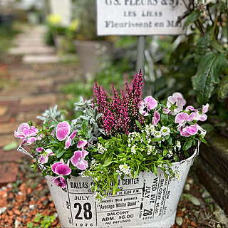 冬の寄せ植えのインテリア実例 Roomclip ルームクリップ