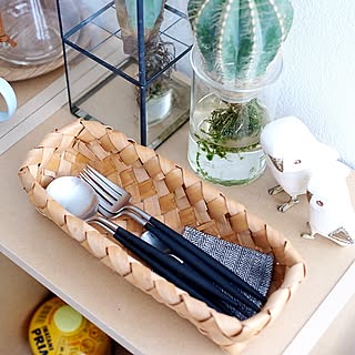 キッチン/TERRA/多肉植物/鳥/TODAY'S SPECIAL...などのインテリア実例 - 2016-08-24 09:51:32