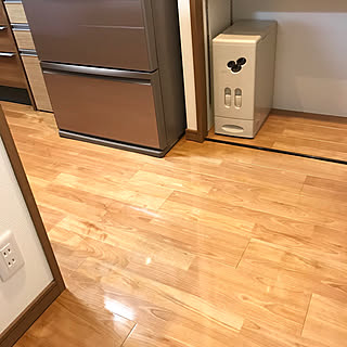 キッチン/パントリー/米びつの収納場所/狭いけど諦めない！/新築マンション...などのインテリア実例 - 2018-01-28 10:41:10
