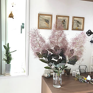 電磁波サボテンのインテリア実例 Roomclip ルームクリップ 電磁波サボテンのインテリア実例 Roomclip ルームクリップ