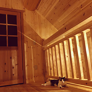 ログハウス 小さなログハウスのレイアウト おしゃれなインテリアコーディネートの実例 Roomclip ルームクリップ