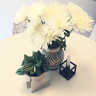 日替わり投稿企画!木曜日/植物/グリーンのある暮らし/菊/スイカぺぺ...などのインテリア実例 - 2017-07-14 06:11:46