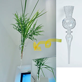 ハンギングフラワーベースのインテリア実例 Roomclip ルームクリップ ハンギングフラワーベースのインテリア実例 Roomclip ルームクリップ