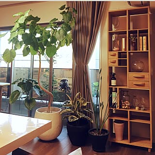 新しい季節 Conran Shop コンランショップ 鉢カバー 置物 花瓶 インテリア 住まい 小物 10 800 Www Dawajen Bh 新しい季節 Conran Shop コンランショップ 鉢カバー 置物 花瓶 インテリア 住まい 小物 10 800 Www Dawajen Bh