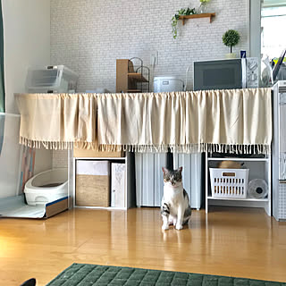 ニトリ 猫トイレのインテリア実例 Roomclip ルームクリップ ニトリ 猫トイレのインテリア実例 Roomclip ルームクリップ