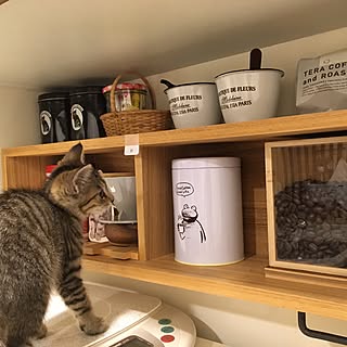 キッチン/コーノ式/無印良品 壁に付けられる家具/テラコーヒー/コーヒーキャニスター...などのインテリア実例 - 2017-06-30 20:03:57