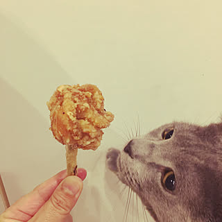 お料理♡/唐揚げチューリップ/ロシアンブルー/しろが好き*/ナチュラル...などのインテリア実例 - 2020-01-20 07:54:18