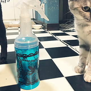 セリア ハッカ油スプレーのインテリア実例 Roomclip ルームクリップ