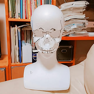 ダイソー マネキンのまとめページ Roomclip ルームクリップ ダイソー マネキンのまとめページ Roomclip ルームクリップ