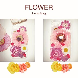 押し花iphoneケースのインテリア実例 Roomclip ルームクリップ