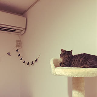 エアコン/子供とふたりで暮らす/布団生活/ミニマムに暮らしたい/こどものいる暮らし...などのインテリア実例 - 2020-01-23 22:37:41