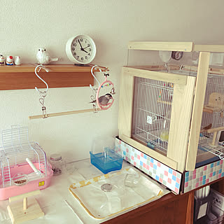 文鳥 一人暮らしのインテリア レイアウト実例 Roomclip ルームクリップ