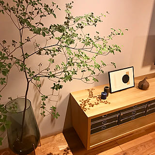 棚/無印良品/無垢の床/ドウダンツツジ/NO GREEN NO LIFE...などのインテリア実例 - 2018-09-10 00:13:26