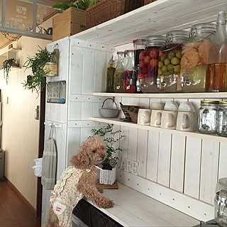100均 フルーツビネガーのインテリア実例 Roomclip ルームクリップ 100均 フルーツビネガーのインテリア実例 Roomclip ルームクリップ