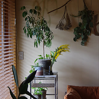 Other、家族住まいの「部屋全体」についてのインテリア実例