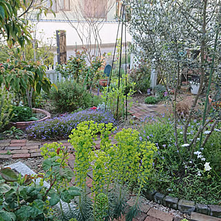 小さな庭 庭diyのインテリア 手作りの実例 Roomclip ルームクリップ