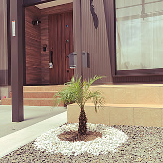 庭 フェニックスロベレニーのインテリア実例 Roomclip ルームクリップ