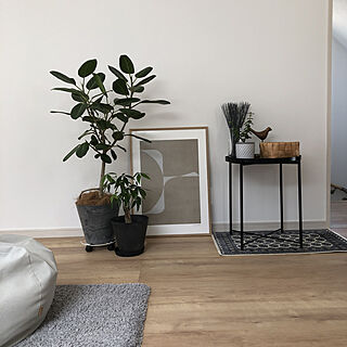 IKEA/アートストーン鉢/ハナロロ/ビーズクッション/植物のある暮らし...などのインテリア実例 - 2021-03-31 11:48:51