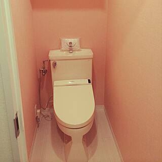 トイレ ピンク壁紙のインテリア実例 Roomclip ルームクリップ