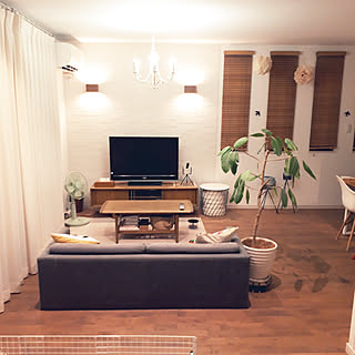 カインズ ペットと暮らす家のインテリア実例 Roomclip ルームクリップ カインズ ペットと暮らす家のインテリア実例 Roomclip ルームクリップ