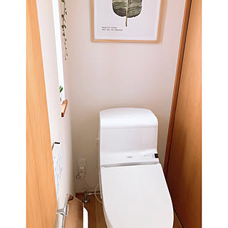 無印良品 柄付きスポンジのインテリア実例 Roomclip ルームクリップ