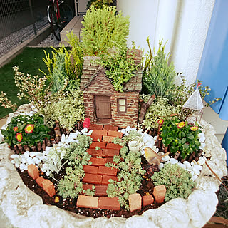 玄関/入り口/ガーデニング/植木鉢/寄せ植え/NO GREEN NO LIFE...などのインテリア実例 - 2018-06-16 23:32:33