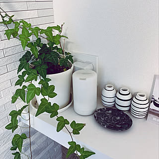 観葉植物/グリーンのある暮らし/シンプルが好き/シンプルにすっきりと暮らす/オマジオミニ...などのインテリア実例 - 2020-01-18 13:22:11