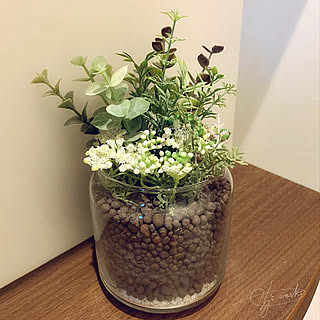 観葉植物 ハイドロボールのおしゃれなアレンジ 飾り方のインテリア実例 Roomclip ルームクリップ