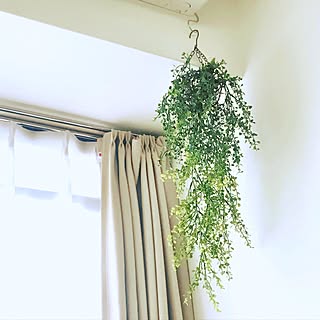 フェイクグリーン ハンギングバスケットのインテリア実例 Roomclip ルームクリップ