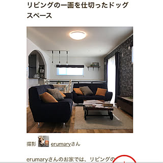 部屋全体/RoomClip mag 掲載/犬と暮らす家/犬と暮らす/ドッグスペース...などのインテリア実例 - 2018-09-19 21:45:25