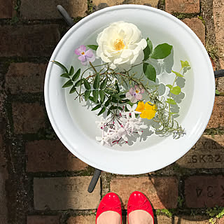 ホーロー洗面器のインテリア実例 Roomclip ルームクリップ