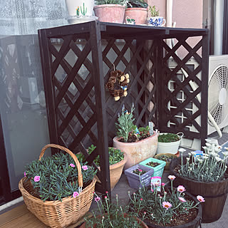 ニトリ ベランダ 目隠しののまとめページ 4ページ目 Roomclip ルームクリップ