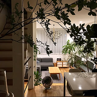 部屋全体/ドウダンツツジ/RCでの出会いに感謝です♡/いつもいいね！ありがとうございます♪/カメラマークと共存...などのインテリア実例 - 2017-08-28 23:51:47