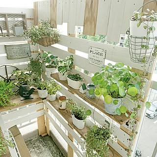 団地 ベランダガーデンのレイアウト おしゃれなインテリアコーディネートの実例 Roomclip ルームクリップ