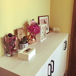 多肉植物 靴箱の上のインテリア実例 Roomclip ルームクリップ