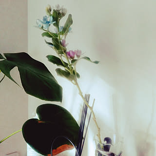 一輪の花のインテリア実例 Roomclip ルームクリップ