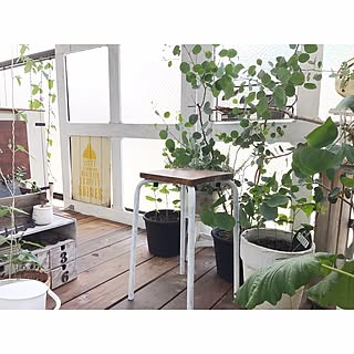 玄関/入り口/IKEA/スツール/リメイク/ベランダガーデン...などのインテリア実例 - 2017-07-10 07:43:41