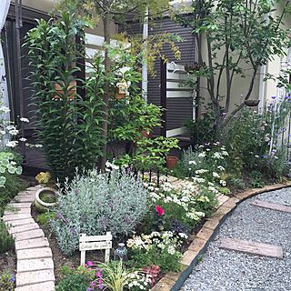 ベッド周り/植物/ウッドデッキ/テラス/手作りの庭...などのインテリア実例 - 2016-05-26 09:16:02