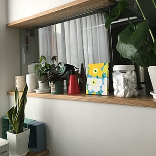 壁/天井/観葉植物のある生活/2016.2.26/ファブリックパネル/マリメッコ...などのインテリア実例 - 2016-02-26 08:34:47