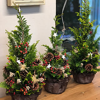 棚/花/ミニクリスマスツリー/ハンドメイド/インテリア雑貨...などのインテリア実例 - 2018-12-07 23:33:07