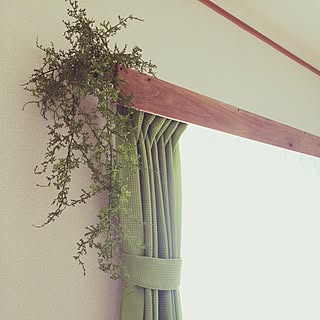 フェイクグリーン カーテンレールカバーdiyのインテリア 手作りの実例 Roomclip ルームクリップ フェイクグリーン カーテンレールカバーdiyのインテリア 手作りの実例 Roomclip ルームクリップ