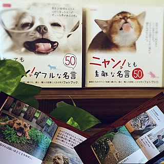 座右の銘のインテリア実例 Roomclip ルームクリップ