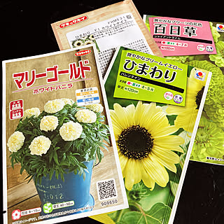 ひまわり 珍しい色の花のおしゃれなアレンジ 飾り方のインテリア実例 Roomclip ルームクリップ