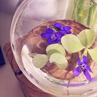 浮き花のインテリア実例 Roomclip ルームクリップ 浮き花のインテリア実例 Roomclip ルームクリップ