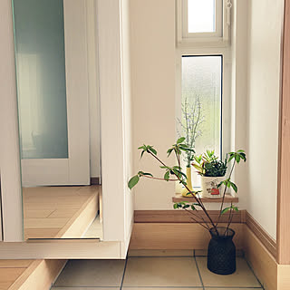 リョウブのインテリア実例 Roomclip ルームクリップ